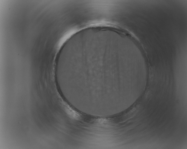 X0000076031463200610201814