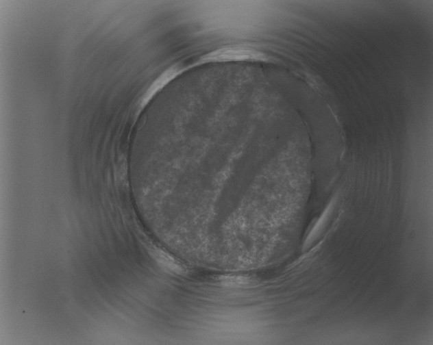 X0000076031465200610201814