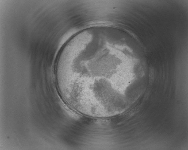 X0000076031466200610201814