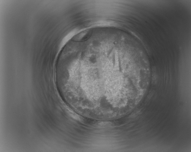 X0000076031467200610201814