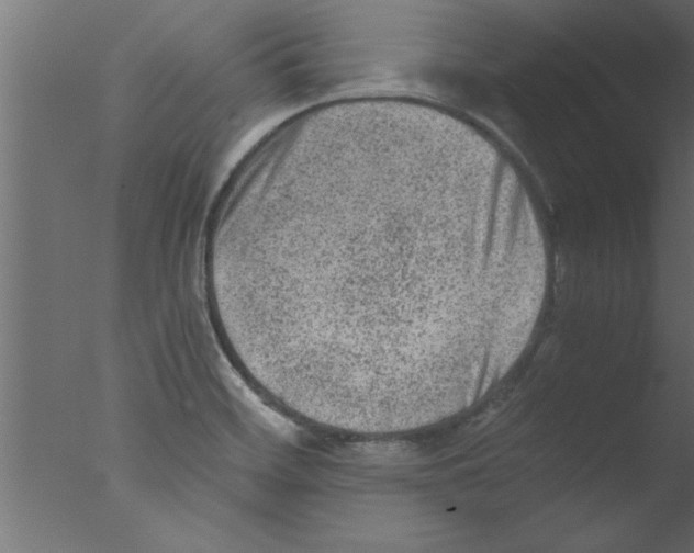 X0000076031468200610201814