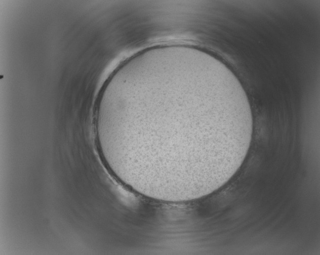 X0000076031470200610201814