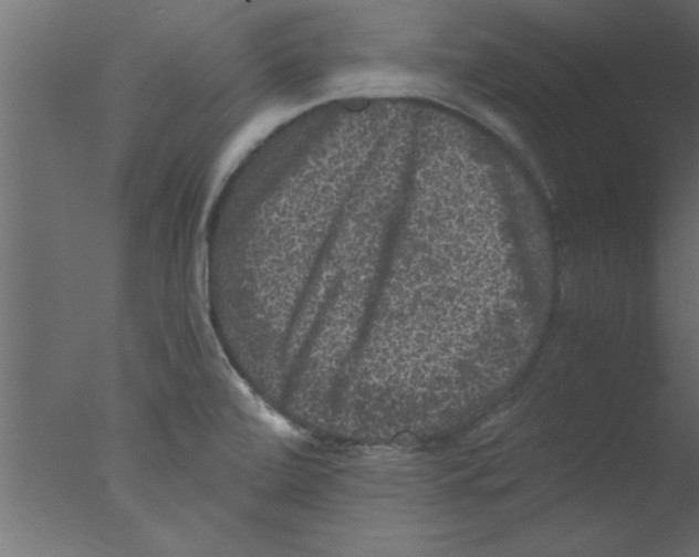 X0000076031472200610201814