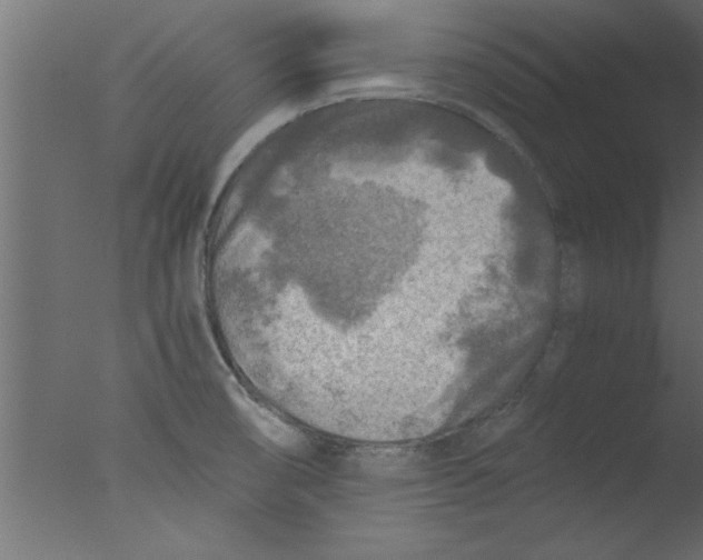 X0000076031474200610201814