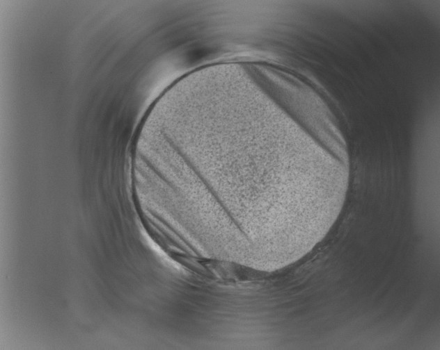 X0000076031476200610201814