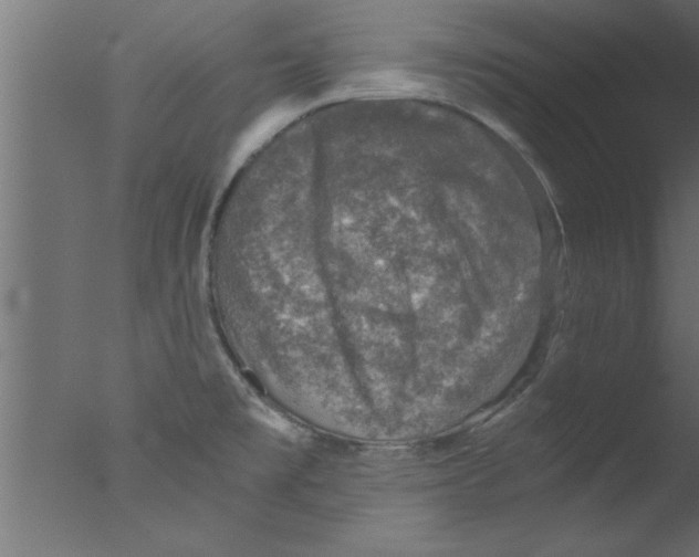 X0000076031477200610201814