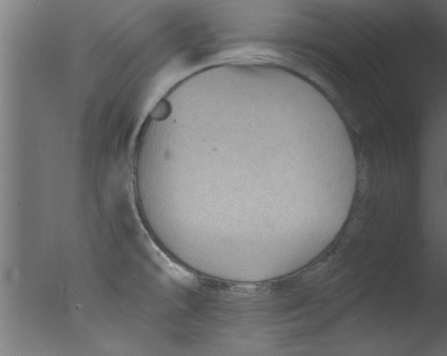 X0000076031478200610201814