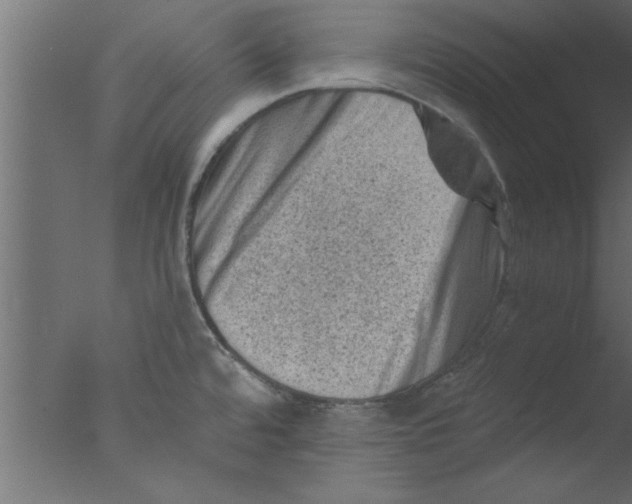 X0000076031480200610201814