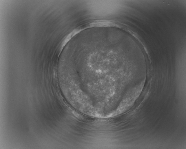 X0000076031481200610201814