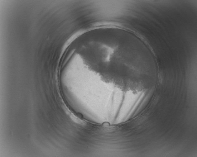 X0000076031482200610201814