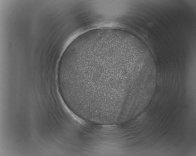 X0000076031483200610201814