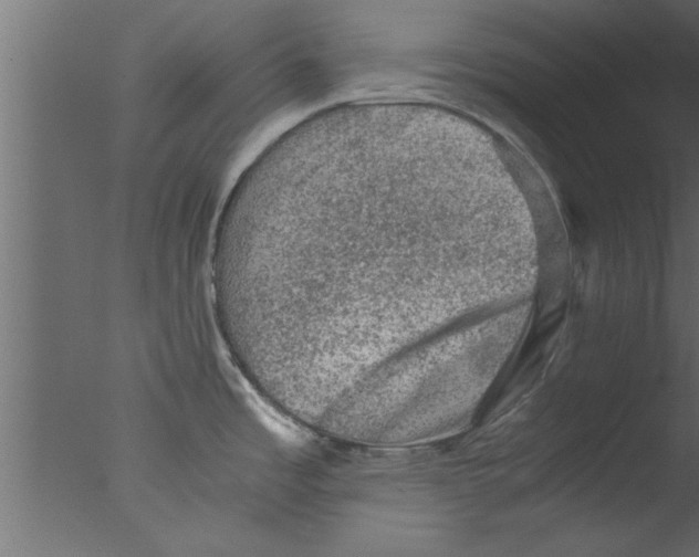 X0000076031485200610201814