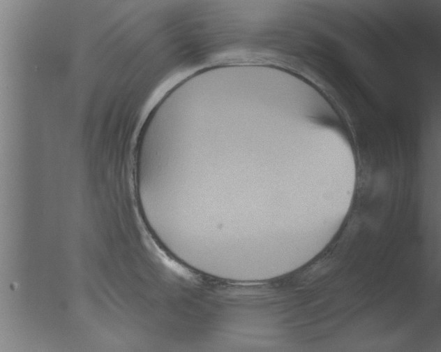 X0000076031486200610201814