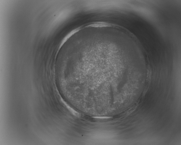 X0000076031487200610201814