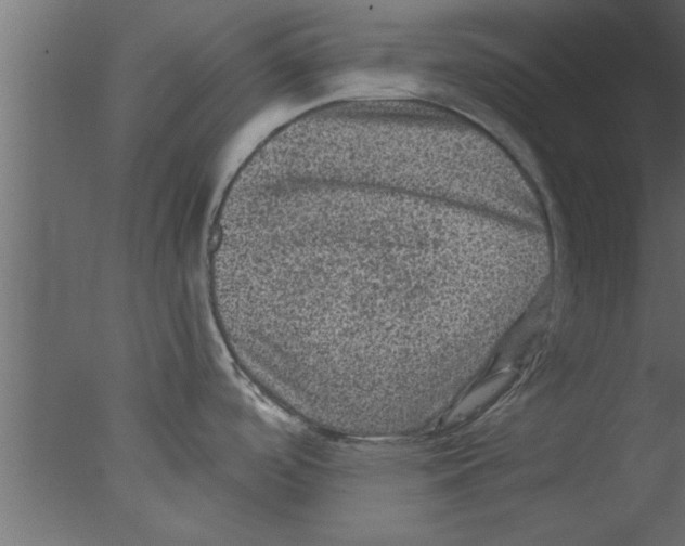 X0000076031488200610201814