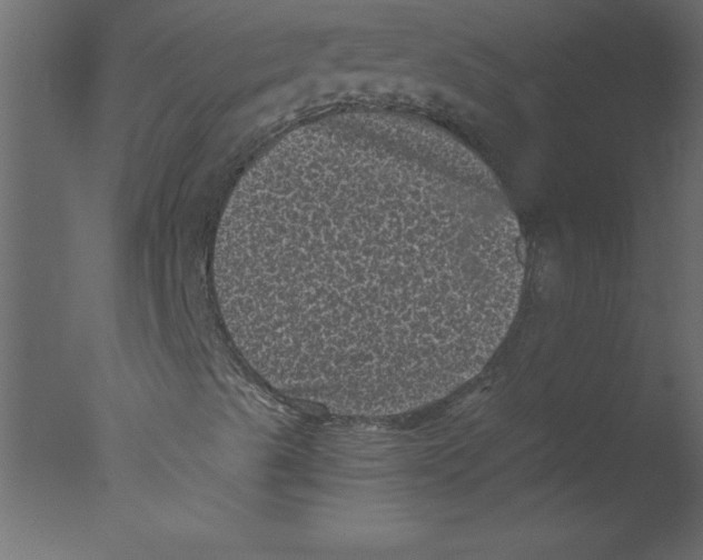 X0000076031489200610201813