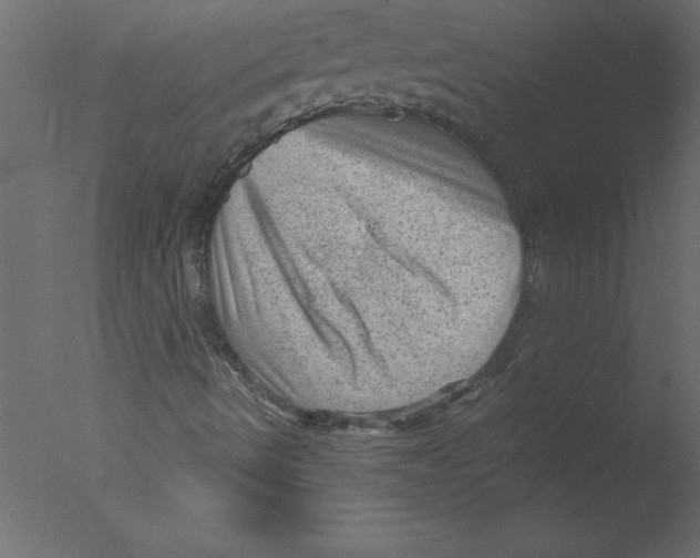 X0000076031490200610201813