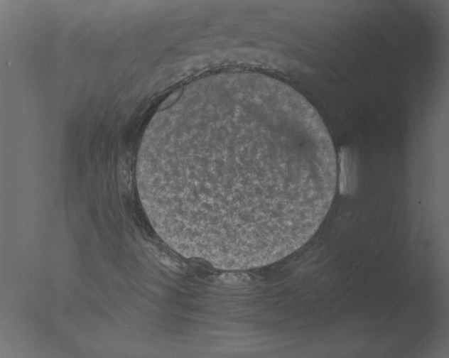 X0000076031491200610201813