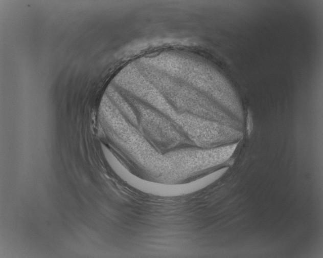 X0000076031492200610201813