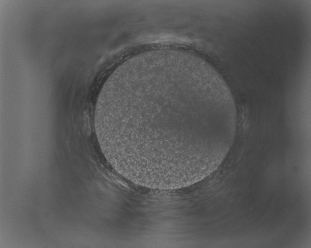 X0000076031493200610201813