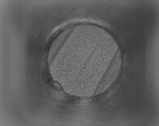 X0000076031494200610201813