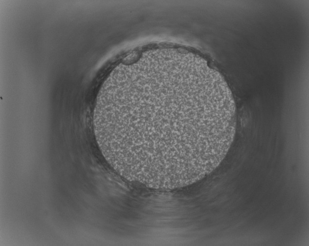 X0000076031495200610201813