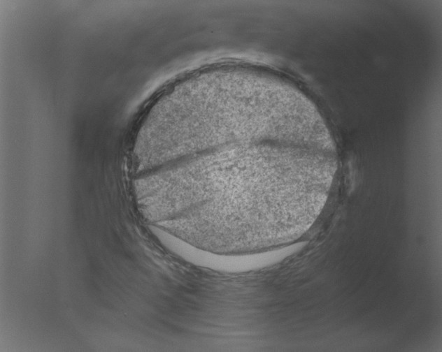 X0000076031496200610201813