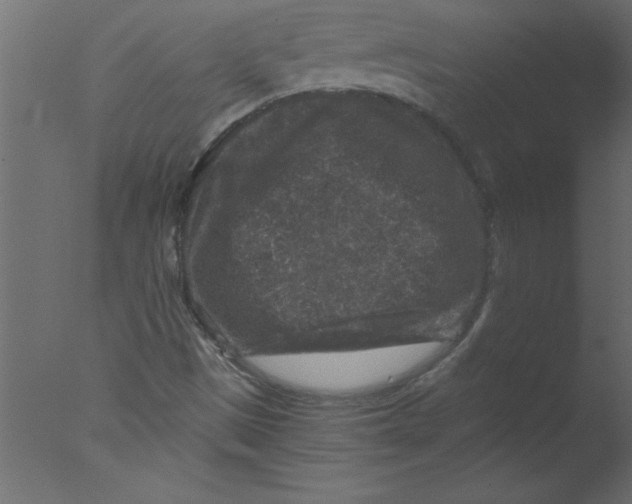 X0000076031497200610201813