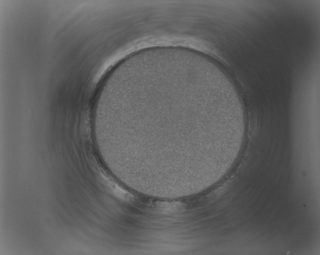 X0000076031498200610201813