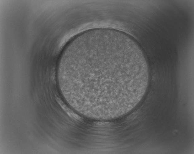 X0000076031499200610201813