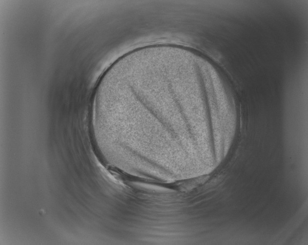 X0000076031500200610201813