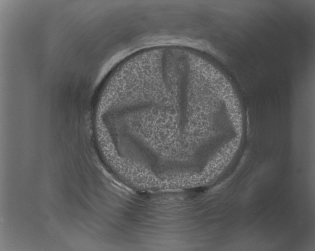 X0000076031501200610201813