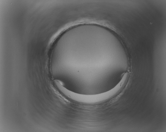 X0000076031502200610201813