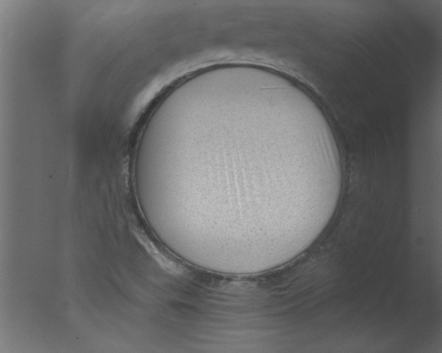 X0000076031503200610201813