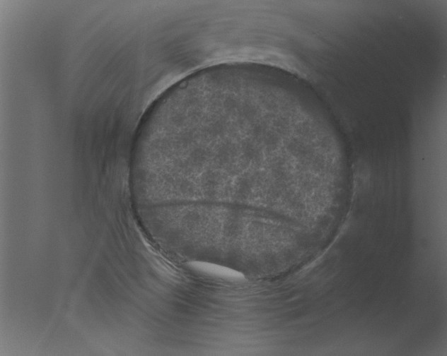 X0000076031505200610201813