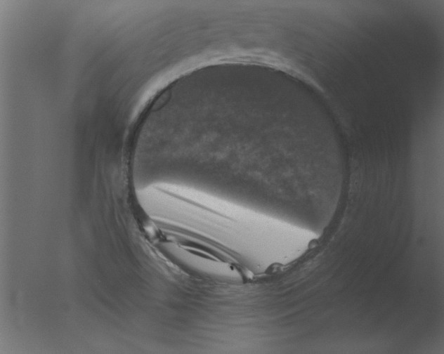 X0000076031506200610201813