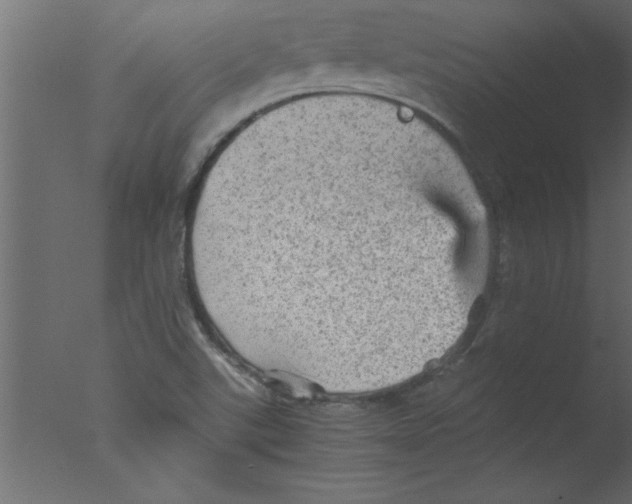 X0000076031507200610201813