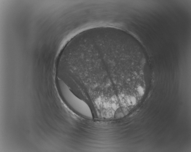 X0000076031508200610201813