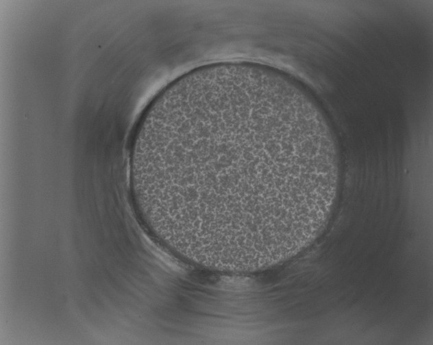 X0000076031509200610201813