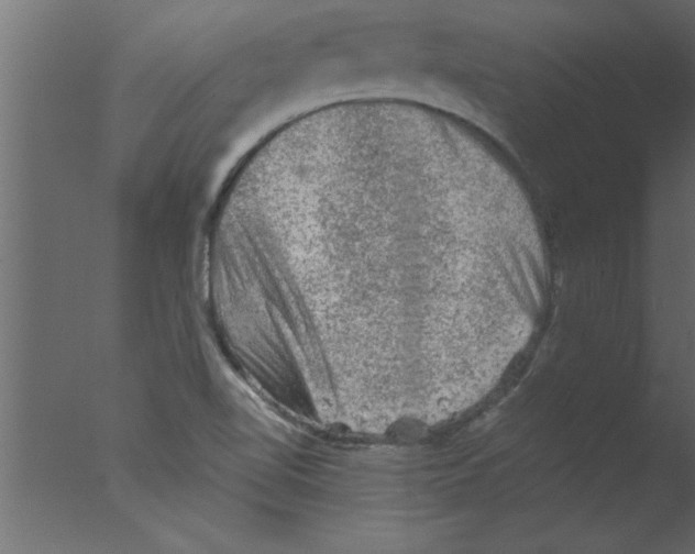 X0000076031510200610201813