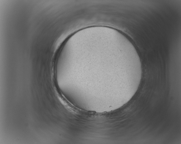 X0000076031511200610201813