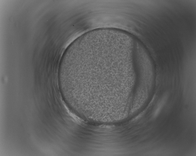 X0000076031513200610201813