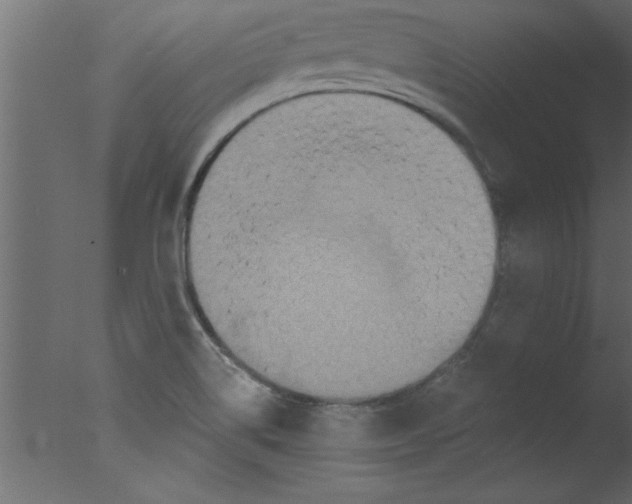 X0000076031514200610201813