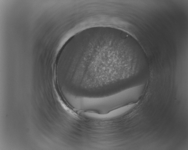 X0000076031515200610201813