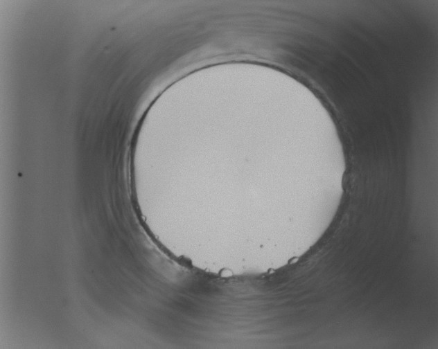 X0000076031516200610201813