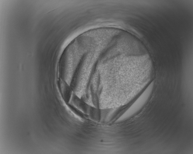 X0000076031520200610201814