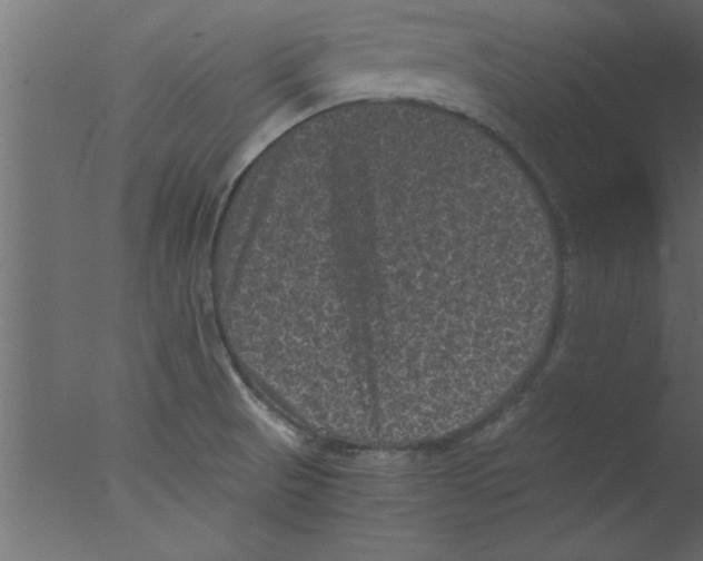 X0000076031521200610201814