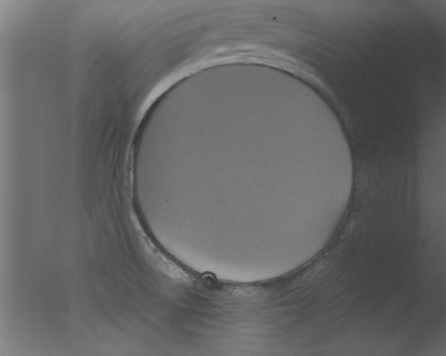 X0000076031522200610201814