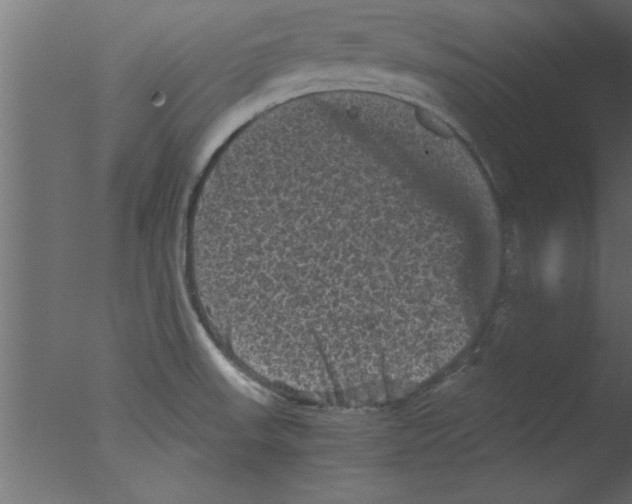 X0000076031523200610201814