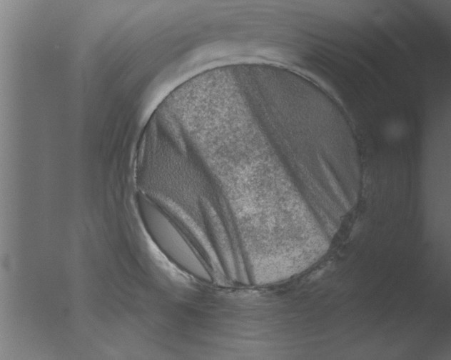 X0000076031524200610201814